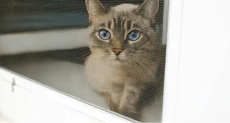 Insektenschutz-Konfigurator